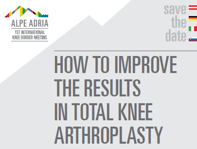 First International Knee Border Meeting